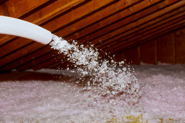 Best Energy Efficiency Insulation in North Muskegon, MI