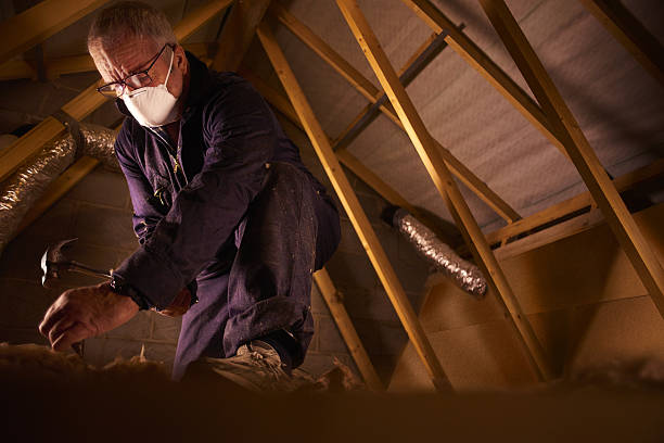  North Muskegon, MI Insulation Contractor Pros